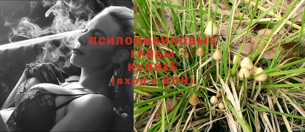 стаф Балабаново