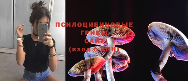 прущие крисы Баксан