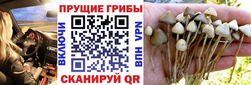 Псилоцибиновые грибы Magic Shrooms  Шиханы 